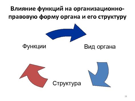 Влияние функций органов