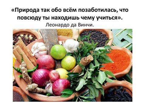 Влияние Nature cool на сохранность пищевых продуктов