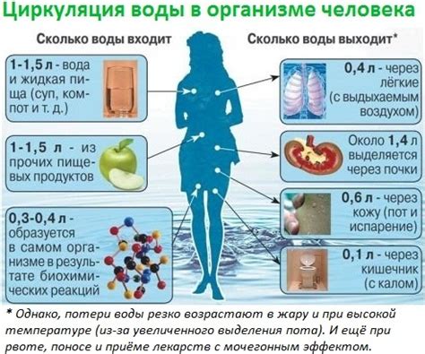 Водный обмен в организме