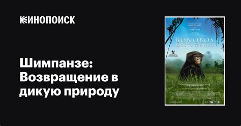 Возвращение утенка в дикую природу