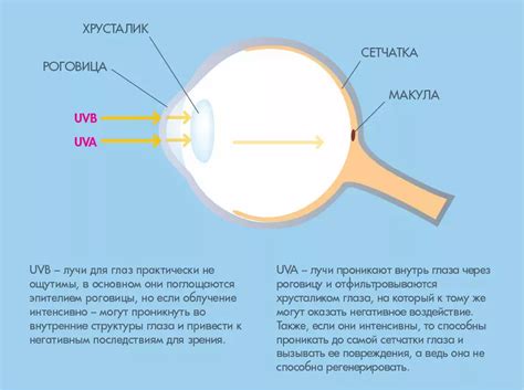 Воздействие вредной среды на глаза