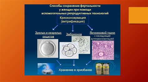 Воздействие кори на количество и подвижность мужских репродуктивных клеток