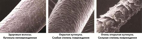 Воздействие щелочных компонентов на состояние волос: химическая реакция с белками