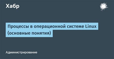 Возможности настройки изображения в операционной системе Linux