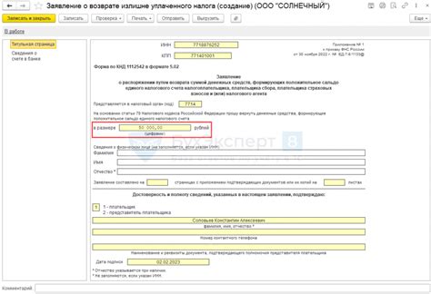 Возможные ошибки при возврате налоговой переплаты через сайт налоговой