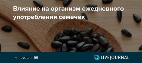 Возможные последствия употребления семян яблок