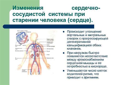 Возрастные изменения ауральной системы