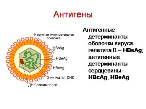 Вопрос определения и особенностей вируса