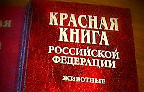 Вопрос о включении в красную книгу