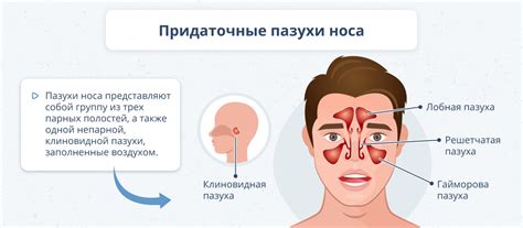 Воспаление слизистой оболочки носа