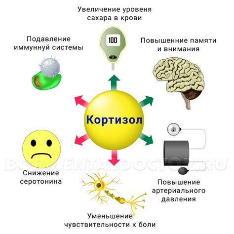 Вредные последствия быстрой зарядки