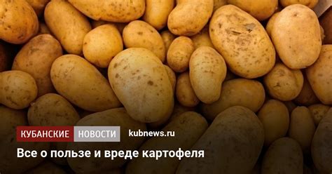 Вред или польза картошки с паршой?