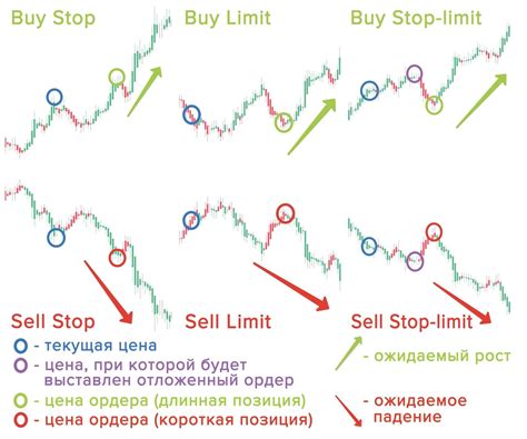 Время – ключ к успешным инвестициям: секрет выбора оптимальных моментов для покупок и продаж