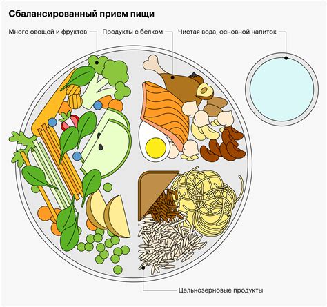 Выберите правильную порцию пищи