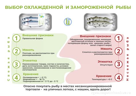 Выбор замороженной рыбы