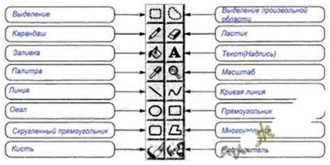 Выбор подходящего графического редактора