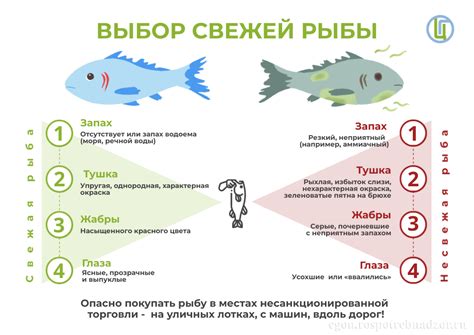 Выбор свежей рыбы и подготовка специй