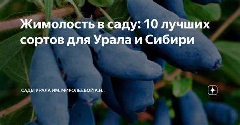 Выбор сортов для Южного Урала