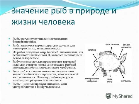 Выявление и анализ изменений в популяциях рыб и рыбных сообществ