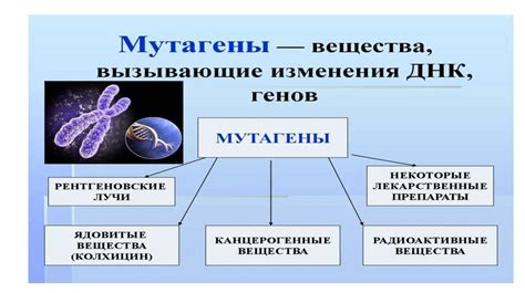 Генетика: раскрывая загадки нашей наследственности