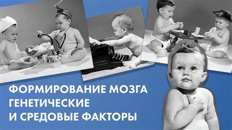 Генетические и физиологические факторы