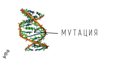 Генетические мутации и их роль