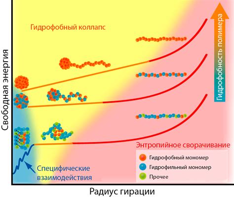 Гидрофобные и гидрофильные вещества: разница в притяжении