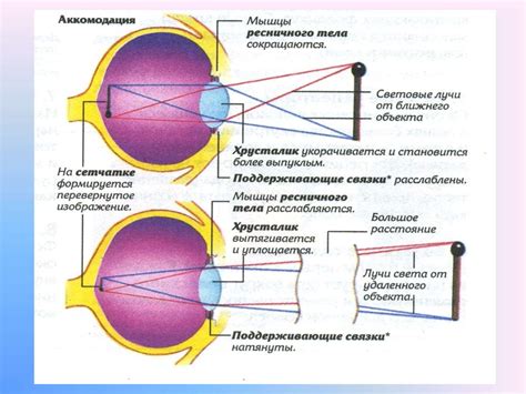 Глубина взгляда и его воздействие