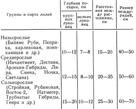 Глубина посадки и расстояние между луковицами