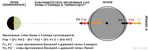 Гравитационное воздействие: влияние солнца и земли на окружающие объекты