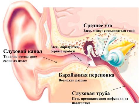 Давление внутри уха