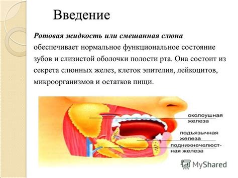 Действие рвоты на состояние зубов и слизистой оболочки