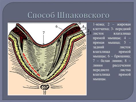 Диагностика патологического состояния в области живота: различные методы обследования грыжи белой линии