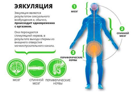 Диагностика проблемы: как выявить нарушение помпы, симптомы неврологического поражения и причины патологии.