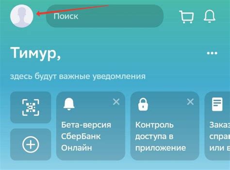 Дополнительные возможности и функции Ym Plus в Сбербанке