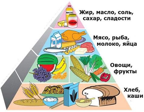 Животные и растительные продукты