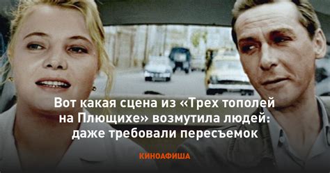 Загадочные связи плюща и трех статных тополей