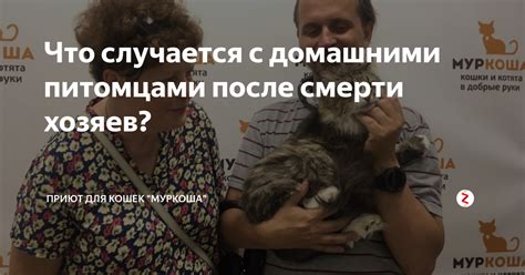 Законодательство о шуме, создаваемом домашними питомцами