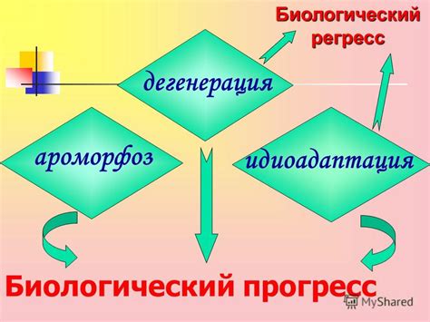 Закономерности эволюции живых организмов