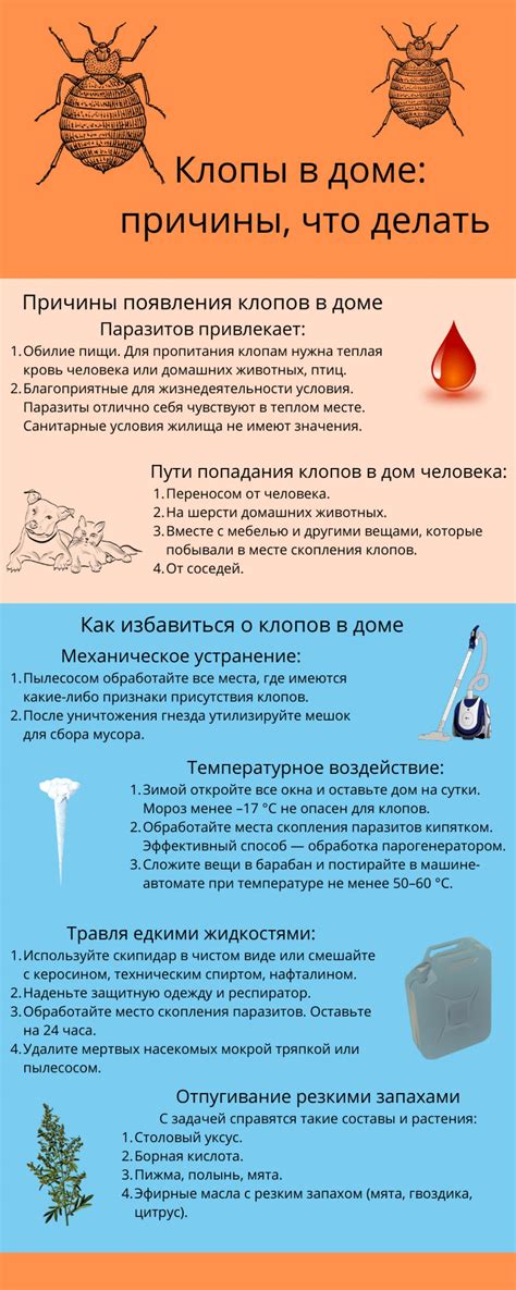 Занесение клопов с улицы