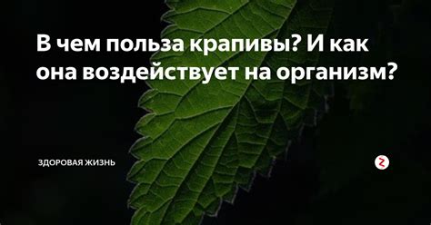 Зачем важно устранить эту ситуацию и как она воздействует на жизнь