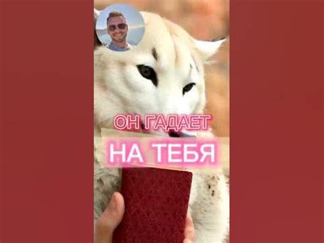 Зачем гадает он?