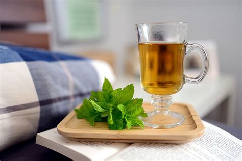 Зеленый чай: секрет здоровой и сияющей кожи