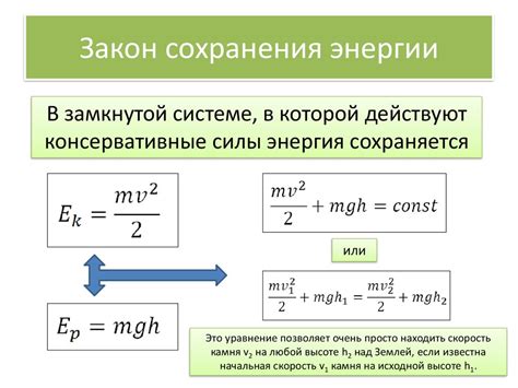 Зимние спячка и диапауза: стратегии сохранения энергии