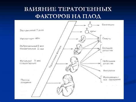 Значение генетических факторов