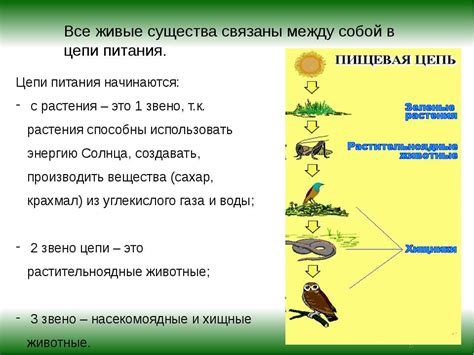 Значение гусиных сообществ для экосистемы