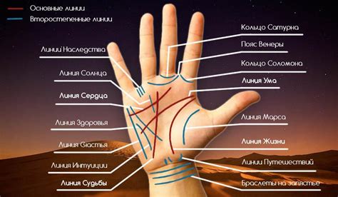 Значение левой руки в хиромантии