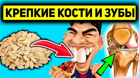 Значение молочных продуктов для сохранения здоровья костей и зубов