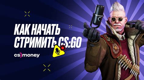 Значение настройки стрима в CS:GO для новичков