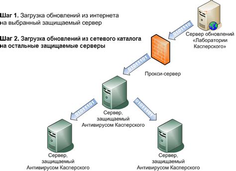 Значение периодического обновления антивирусных баз данных